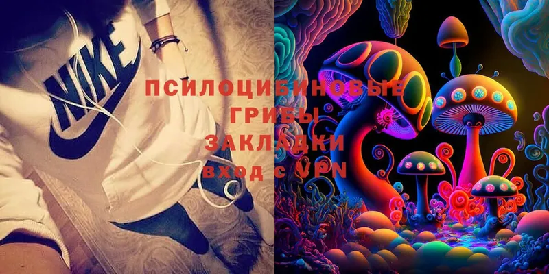 Галлюциногенные грибы Cubensis  Асбест 